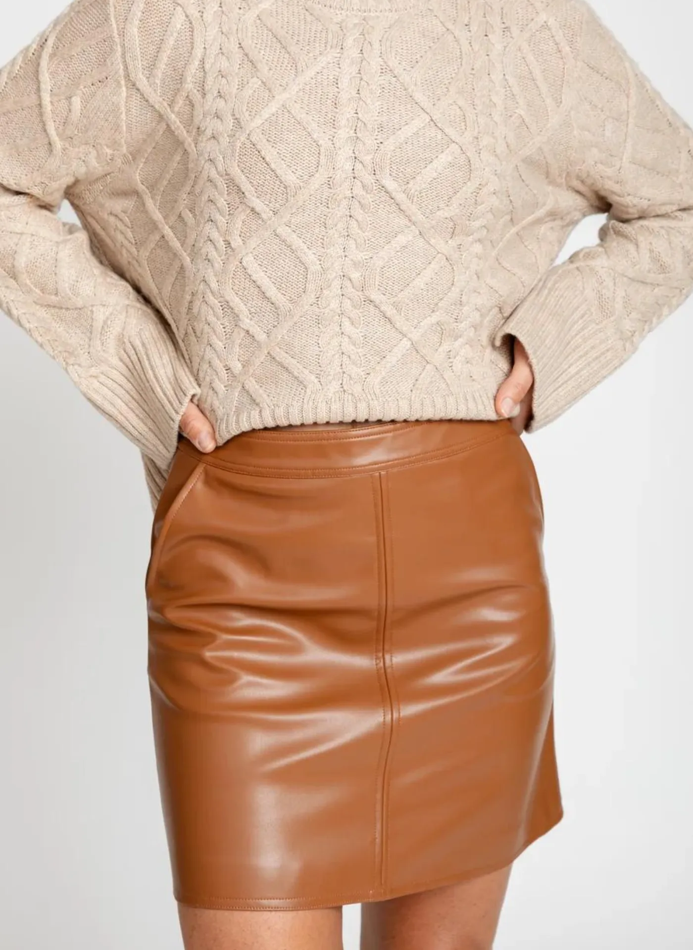 Payton Vegan Leather Mini Skirt