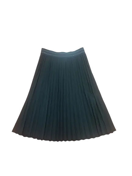 Pleated Skirt 20110